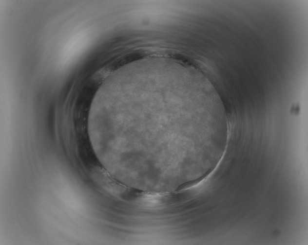 X0000112030190200908241547