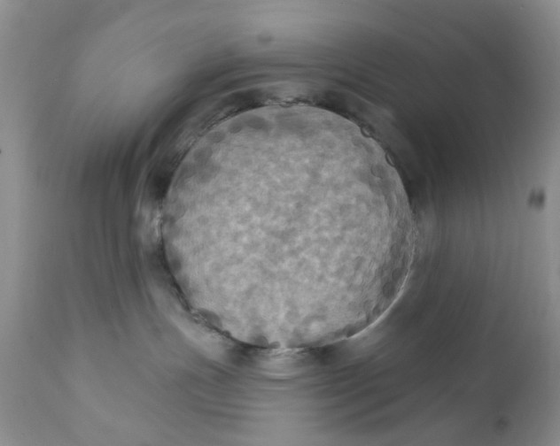X0000112030191200908241547