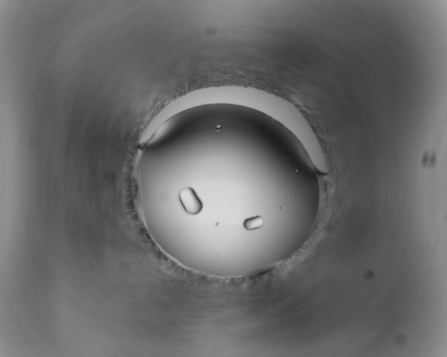 X0000112030192200908241547