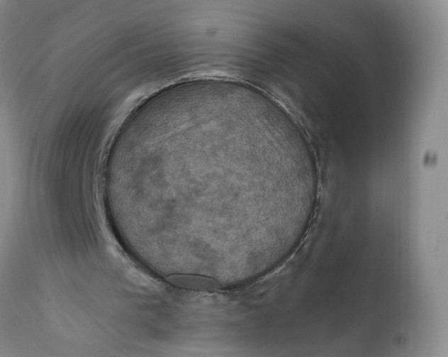 X0000112030193200908241546