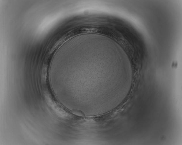 X0000112030194200908241546