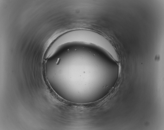 X0000112030195200908241546