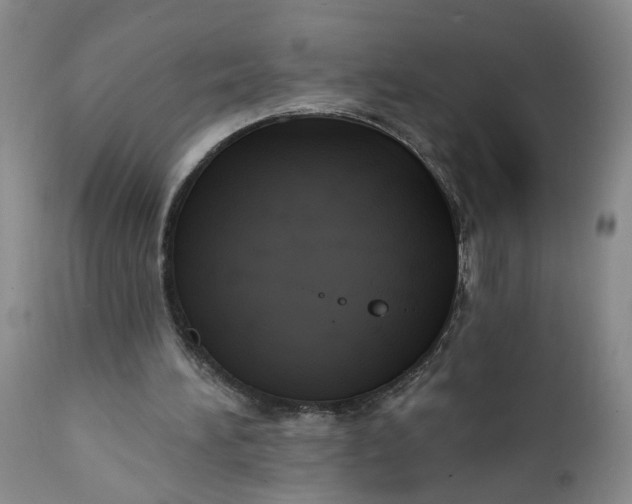 X0000112030196200908241546