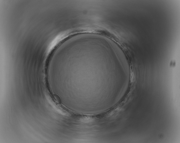 X0000112030198200908241546