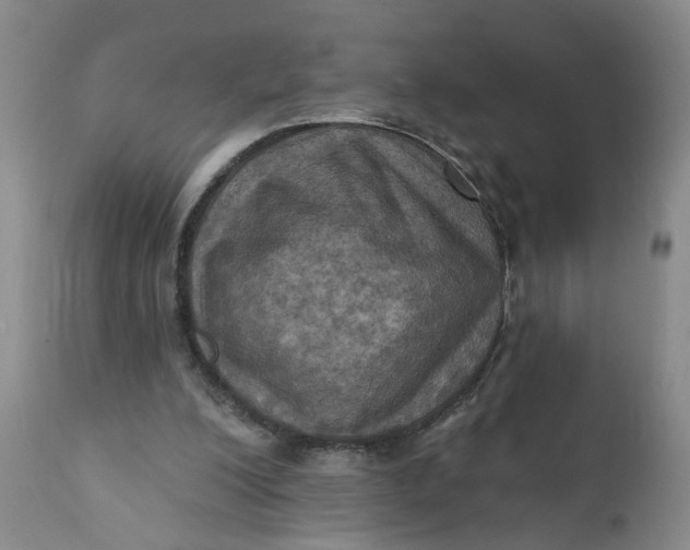 X0000112030200200908241546