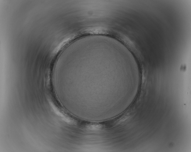 X0000112030202200908241546