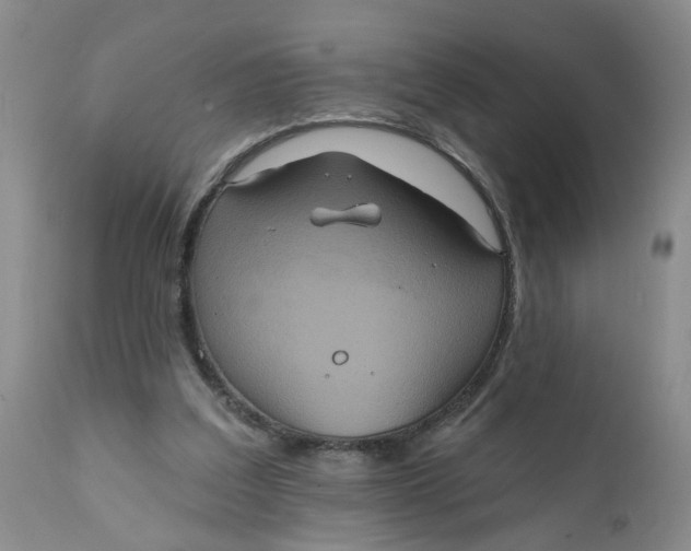X0000112030203200908241546