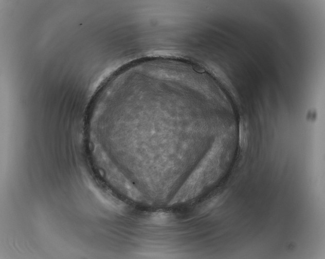 X0000112030204200908241546