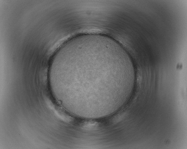 X0000112030206200908241546