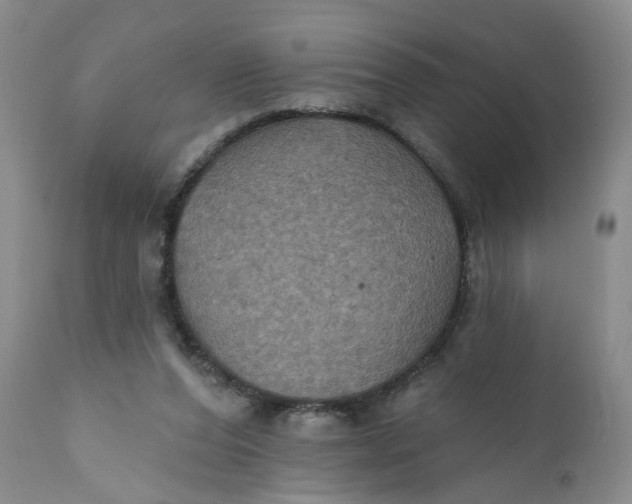 X0000112030208200908241546