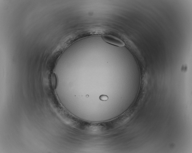 X0000112030209200908241546