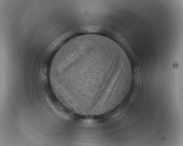 X0000112030212200908241546
