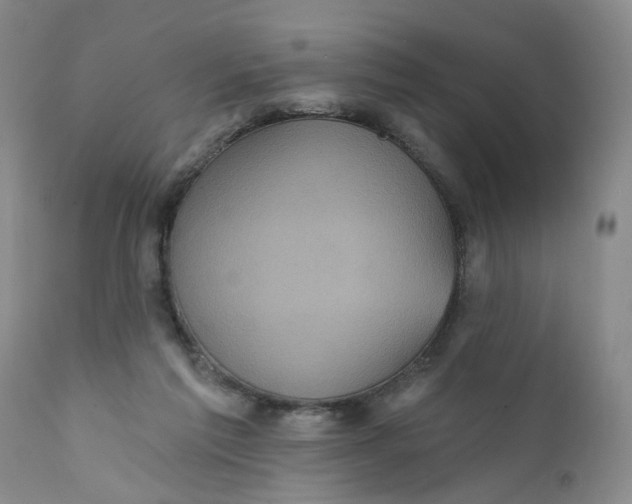 X0000112030213200908241546