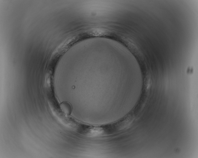 X0000112030214200908241546