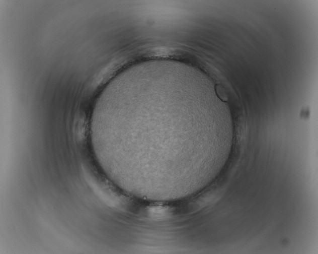 X0000112030216200908241546