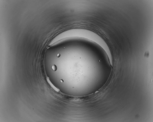 X0000112030217200908241546