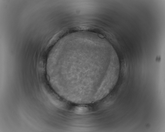 X0000112030220200908241546