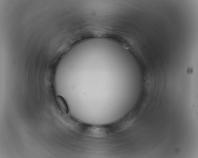 X0000112030221200908241546