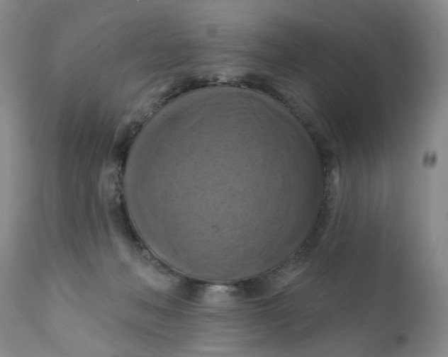 X0000112030222200908241546