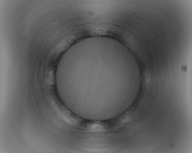 X0000112030224200908241546