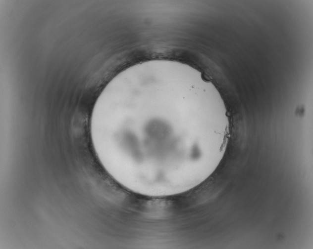 X0000112030225200908241546
