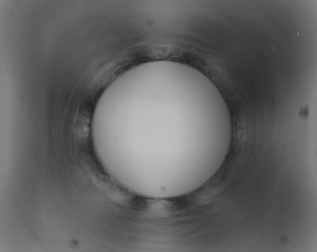 X0000112030226200908241546