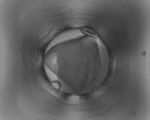 X0000112030227200908241545