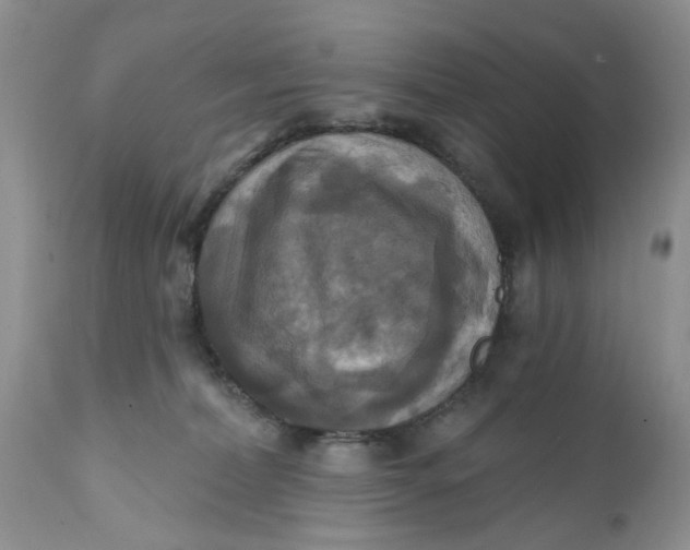 X0000112030228200908241545