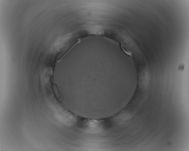 X0000112030229200908241545