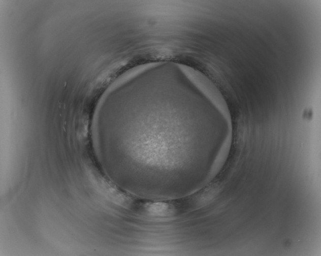 X0000112030230200908241545