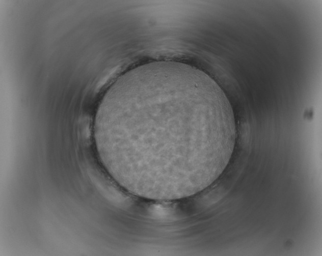 X0000112030232200908241545
