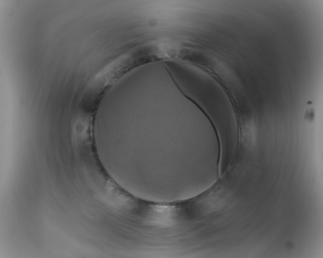 X0000112030233200908241545