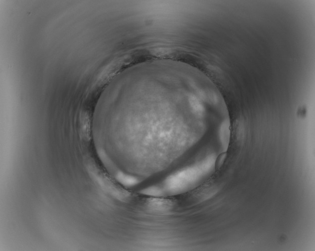 X0000112030234200908241545
