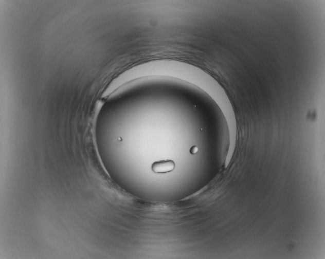 X0000112030237200908241545