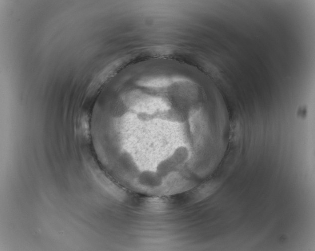 X0000112030238200908241545