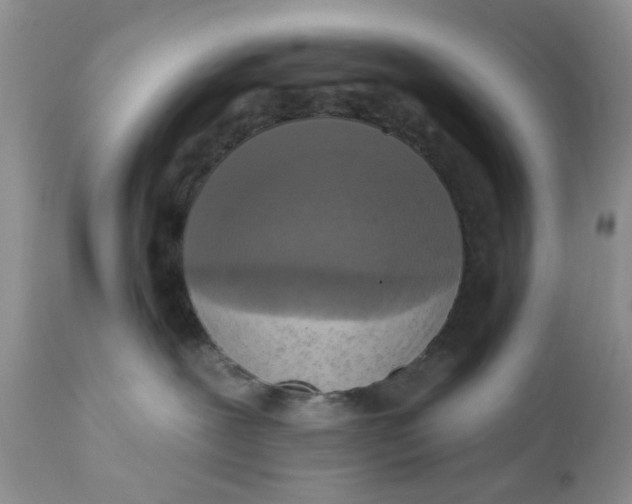 X0000112030239200908241545
