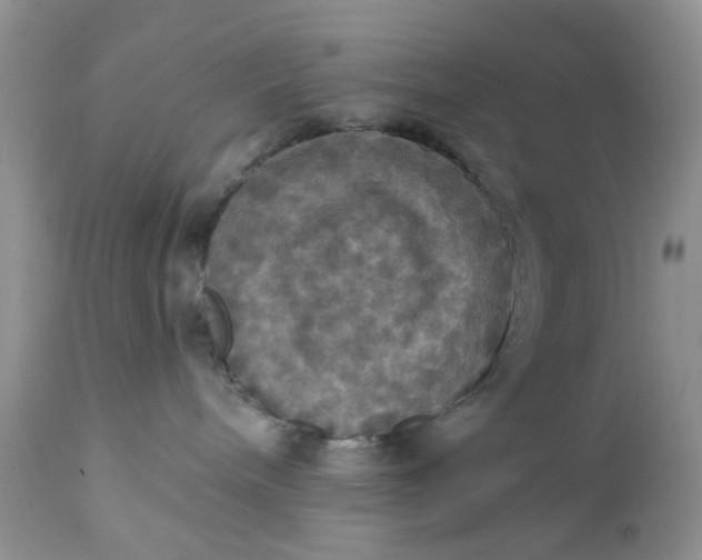 X0000112030240200908241545