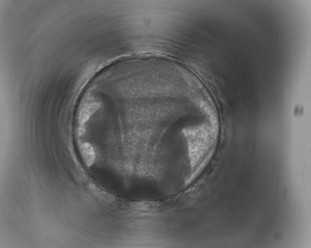 X0000112030241200908241545