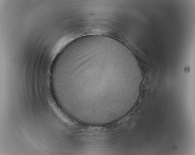 X0000112030242200908241545