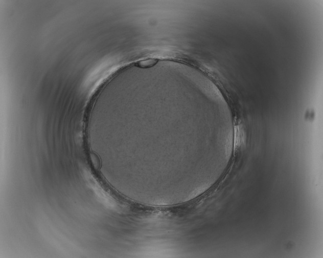 X0000112030243200908241545