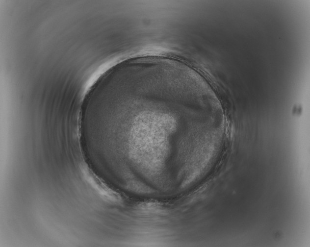 X0000112030244200908241545
