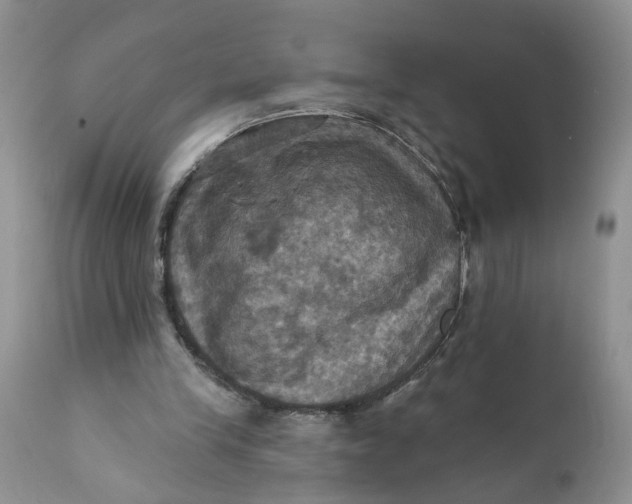 X0000112030245200908241545