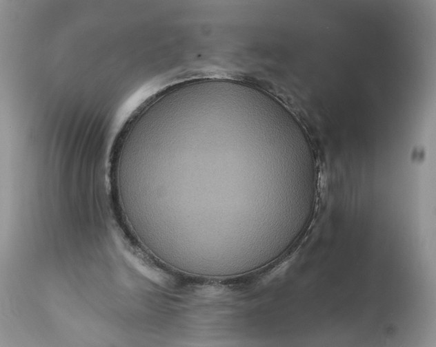 X0000112030246200908241545