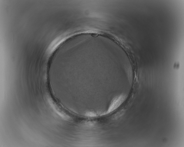 X0000112030247200908241545