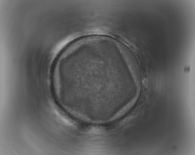 X0000112030248200908241545