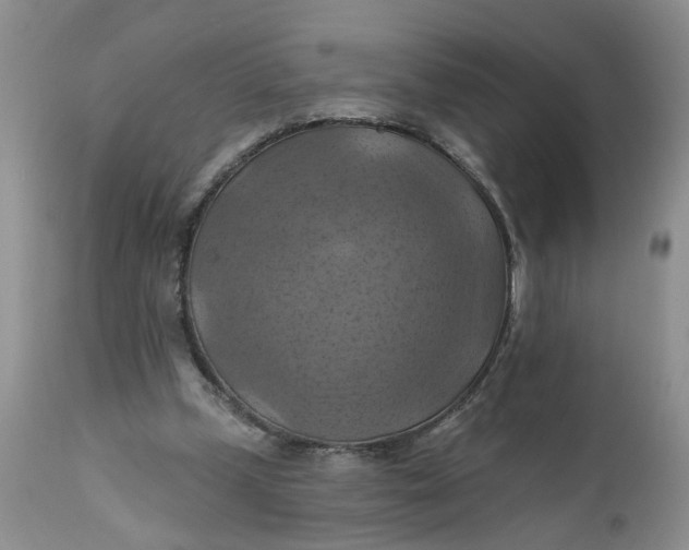 X0000112030249200908241545