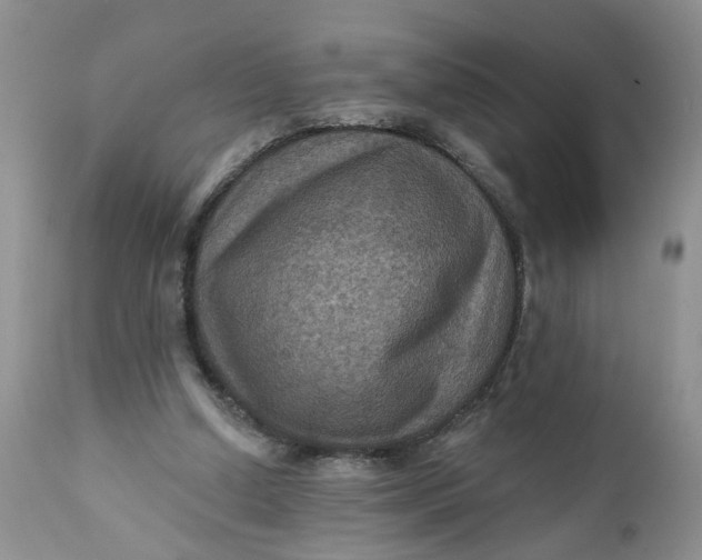 X0000112030250200908241545