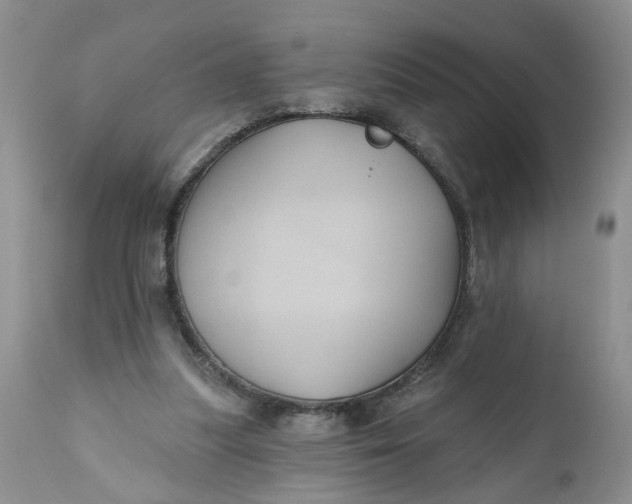 X0000112030251200908241545