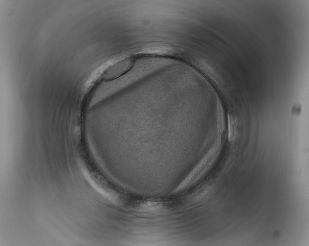 X0000112030252200908241545