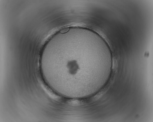 X0000112030253200908241545